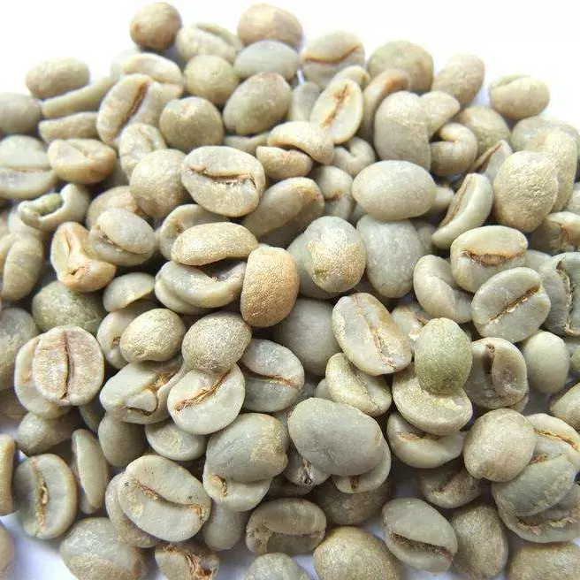 arabica green